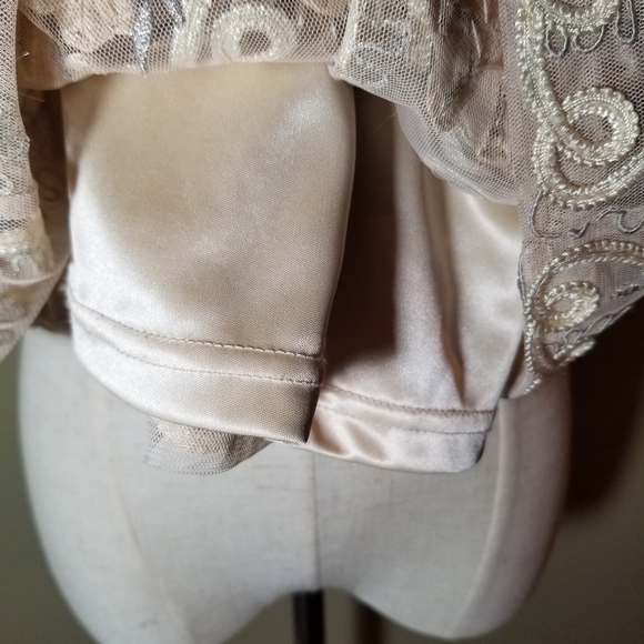 Sue Wong Nocturne Dress - Picture 16 of 16